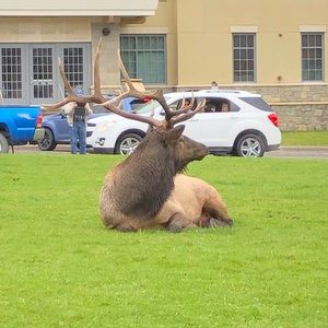 Meet your Posher, Mariah